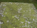 image of grave number 40089